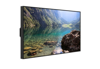 Дисплей высокой яркости Hisense 55WH80F