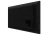 Информационный дисплей Hisense 32DM66D Информационный дисплей Hisense 32DM66D