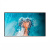 Информационный дисплей Hisense 65DM66E