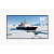 Информационный дисплей InfoClear IC-65A3W